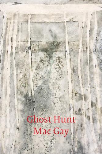 Бумажная книга «Ghost Hunt», автор Мак Гей - фото №1