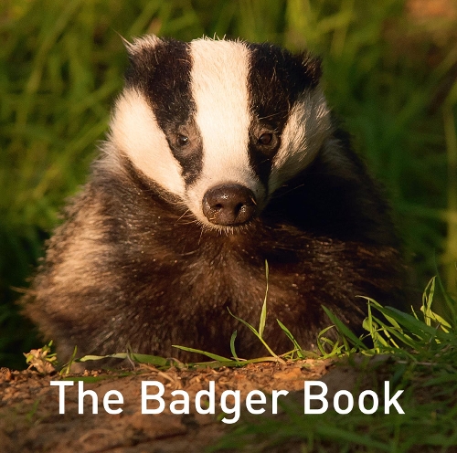 Паперова книга «Nature Book Series, The: The Badger Book», автор Джо Бірн - фото №1
