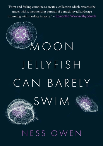 Паперова книга «Moon Jellyfish Can Barely Swim», автор Несс Оуен - фото №1