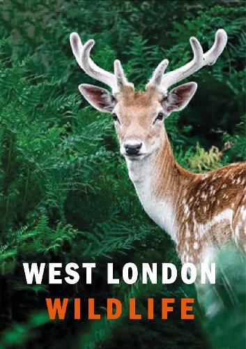 Бумажная книга «West London Wildlife», авторов Ян Александр, Сюзанна Мастерс - фото №1