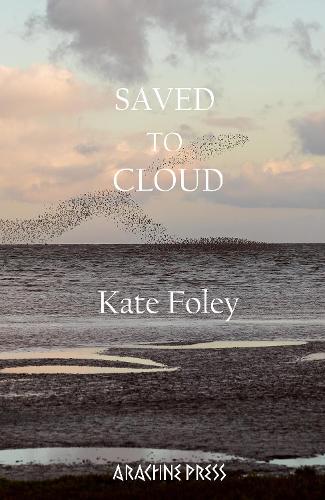 Паперова книга «Saved to Cloud», автор Кейт Фолі - фото №1