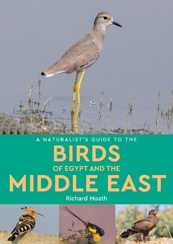 Бумажная книга «A Naturalist's Guide to the Birds of Egypt and the Middle East», автор Ричард Хоут - фото №1