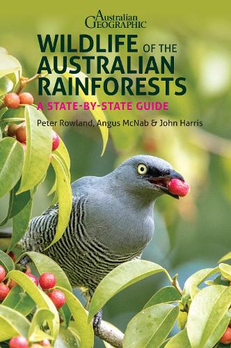 Бумажная книга «Wildlife of the Australian Rainforests: A State-By-State Guide», автор Питер Роуланд - фото №1