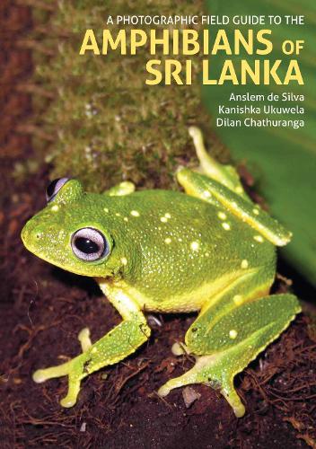 Бумажная книга «A Photographic Field Guide to the Amphibians of Sri Lanka», авторов Ансельм де Сильва, Дилан Чатуранга, Канишка Укувела - фото №1