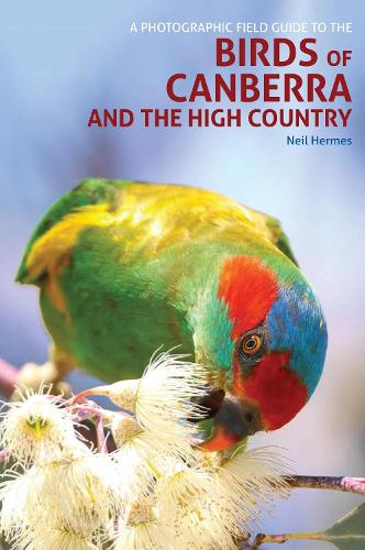 Бумажная книга «A Photographic Field Guide to Birds of Canberra & the High Country (2nd ed)», автор Нил Гермес - фото №1