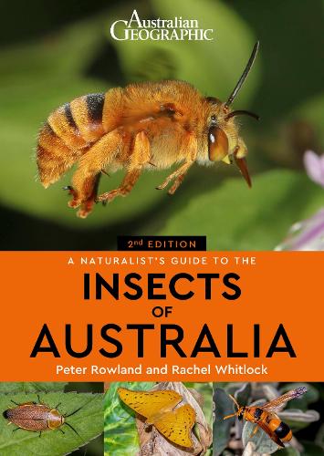 Паперова книга «A Naturalist's Guide to the Insects of Australia», автор Пітер Роуленд - фото №1