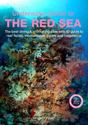 Паперова книга «An Underwater Guide to the Red Sea (2nd)», автор Лоусон Вуд - фото №1