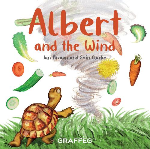 Паперова книга «Albert and the Wind», автор Ієн Браун - фото №1