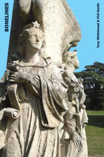 Бумажная книга «Bonelines», автор Фил Смит - фото №1