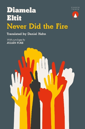 Бумажная книга «Never Did the Fire», автор Диамела Эльтит - фото №1