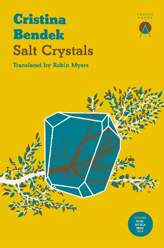 Паперова книга «Salt Crystals», автор Крістіна Бендек - фото №1