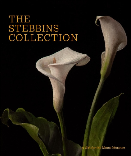 Паперова книга «The Stebbins Collection: A Gift for the Morse Museum», автор Реджина Палм - фото №1