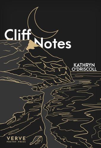 Бумажная книга «Cliff Notes», автор Кэтрин О'Дрисколл - фото №1