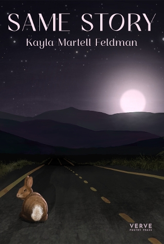 Бумажная книга «Same Story», автор Кайла Мартелл Фельдман - фото №1
