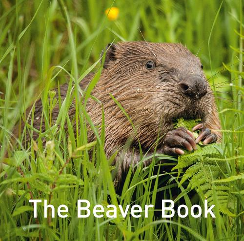 Паперова книга «Beaver Book, The», автор Г'ю Ворвік - фото №1
