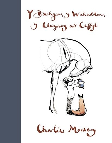 Бумажная книга «Bachgen, Y Wahadden, Y Llwynog Ar Ceffyl, Y» - фото №1