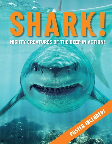 Бумажная книга «Shark!: Mighty Creatures of the Deep in Action», автор Пол Мейсон - фото №1