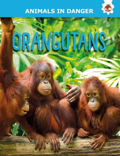 Паперова книга «Orangutans: Animals In Danger», автор Емілі Кінгтон - фото №1