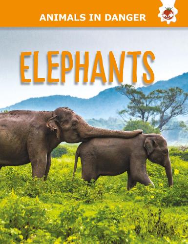 Паперова книга «Elephants», автор Емілі Кінгтон - фото №1