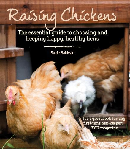 Бумажная книга «Raising Chickens», авторов Грэм Пейдж, Сьюзи Болдуин - фото №1