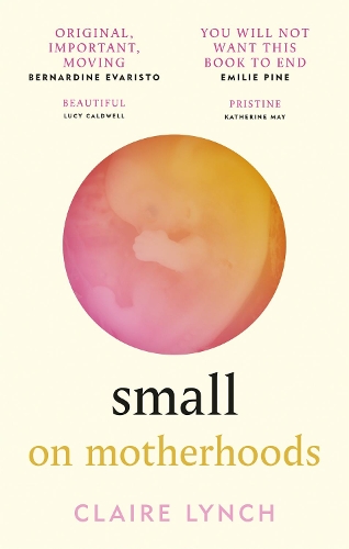 Бумажная книга «Small: On motherhoods», автор Клэр Линч - фото №1
