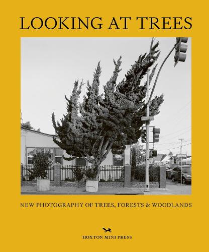 Бумажная книга «Looking At Trees: New Photography of Trees, Forests & Woodlands», автор Софи Ховарт - фото №1