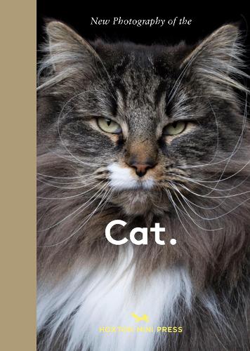 Paper book «New Photography of the Cat.: The best new photography of cats.», author Hoxton Mini Press - фото №1