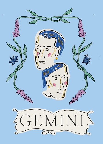Паперова книга «Gemini», автор Ліберті Фі - фото №1