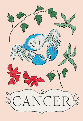 Паперова книга «Cancer», автор Ліберті Фі - фото №1