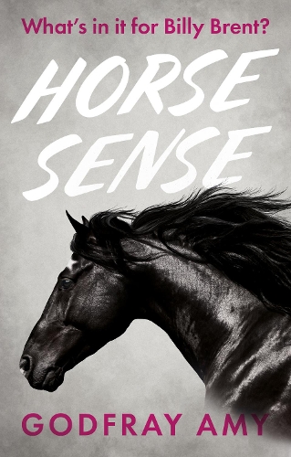 Бумажная книга «Horse Sense», автор Годфрей Эми - фото №1