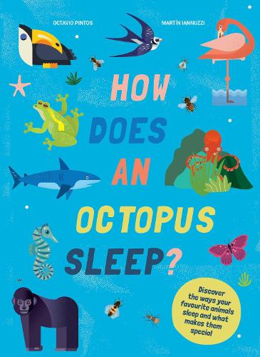 Бумажная книга «How Does An Octopus Sleep?: Discover the ways your favourite animals sleep and what makes them special», авторов Мартин Ианнуцци, Октавио Пинтос - фото №1