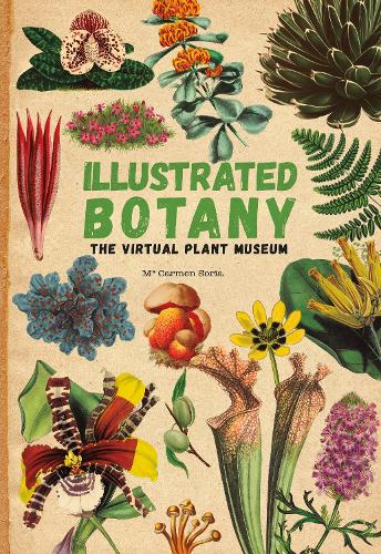 Паперова книга «Illustrated Botany: The Virtual Plant Museum», автор Кармен Сорія - фото №1
