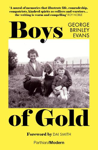 Бумажная книга «Boys of Gold», автор Джордж Бринли Эванс - фото №1