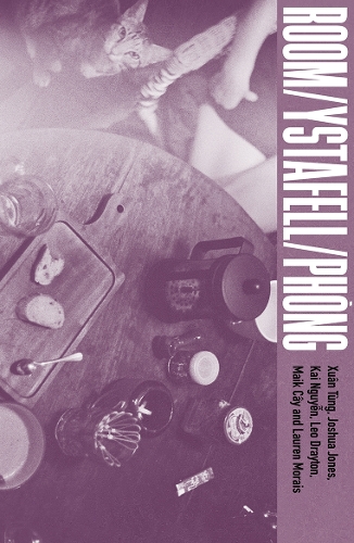 Паперова книга «Room / Ystafell / Phòng», автор Джошуа Джонс - фото №1
