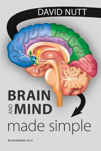 Паперова книга «Brain and Mind Made Simple», автор Девід Натт - фото №1