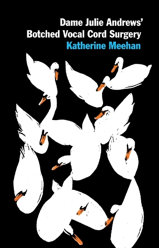 Бумажная книга «Dame Julie Andrews' Botched Vocal Cord Surgery and Other Poems», автор Кэтрин Миэн - фото №1