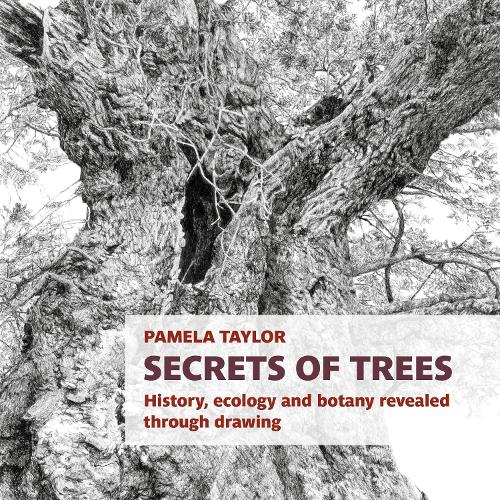 Бумажная книга «Secrets of Trees: History, ecology and botany revealed through drawing», автор Памела Тейлор - фото №1