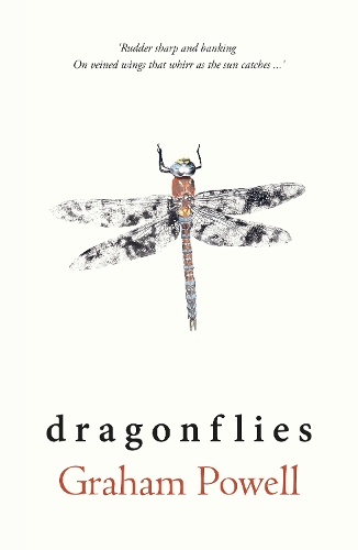 Паперова книга «Dragonflies», автор Грем Пауелл - фото №1