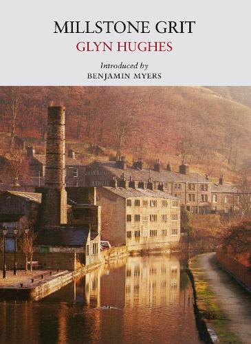 Бумажная книга «Millstone Grit», автор Глин Хьюз - фото №1