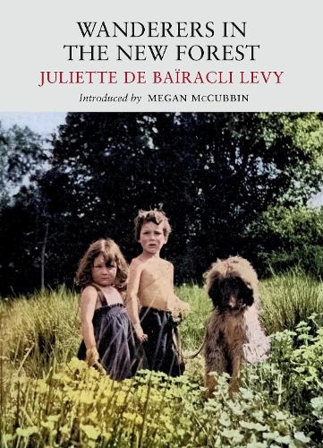Бумажная книга «Wanderers in the New Forest», автор Джульетта де Байракли Леви - фото №1