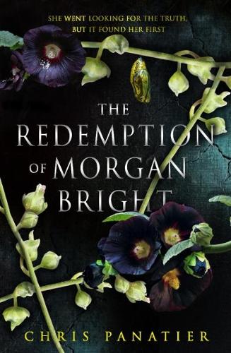 Бумажная книга «The Redemption of Morgan Bright», автор Крис Панатье - фото №1