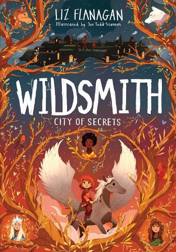 Паперова книга «City of Secrets: The Wildsmith #2», автор Ліз Фланаган - фото №1