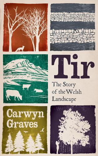 Бумажная книга «Tir: The Story of the Welsh Landscape», автор Карвин Грейвс - фото №1