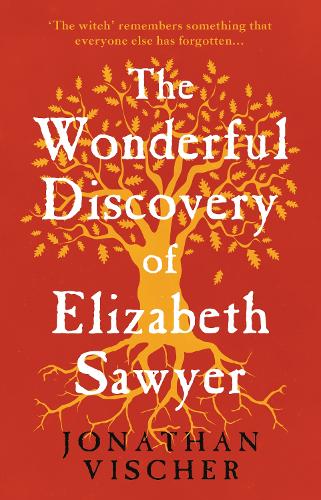 Бумажная книга «The Wonderful Discovery of Elizabeth Sawyer», автор Джонатан Вишер - фото №1