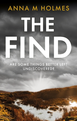 Бумажная книга «The Find: Are some things better left undiscovered?», автор Анна М. Холмс - фото №1