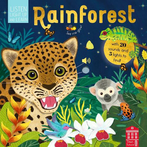 Паперова книга «Sounds of the Rainforest», автор Кетрін Ард - фото №1