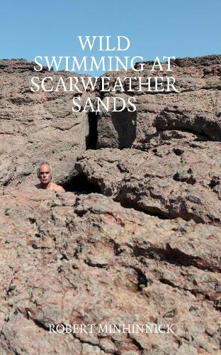 Бумажная книга «Wild Swimming at Scarweather Sands», автор Роберт Минхинник - фото №1