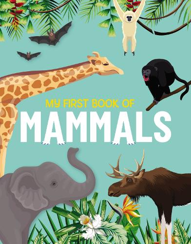 Бумажная книга «My First Book of Mammals: An Awesome First Look at Mammals from Around the World», автор Эмили Кингтон - фото №1