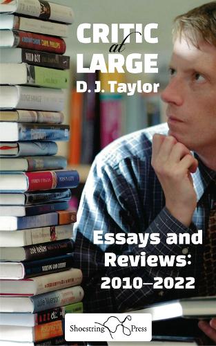 Бумажная книга «Critic at Large: Essays and Rreviews 2010-2022», автор Диджей Тейлор - фото №1