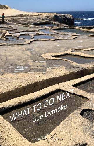 Паперова книга «What To Do Next», автор Сью Даймок - фото №1